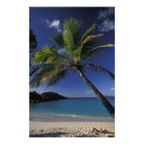 One of the World's Best beaches; Trunk Bay on