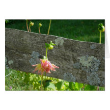 One on the Fence, S Cyr Greeting Card