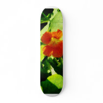 One Orange Nasturtium