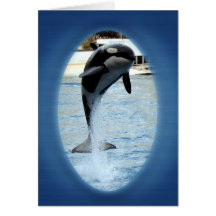 One Orca at Marineland (france) Greeting Cards