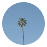 one palmtree stickers
