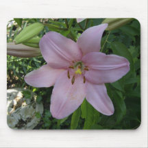 One Pink Lilly Mousepad