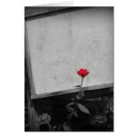 One Red Flower Card