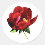 One Red Peony Round Stickers