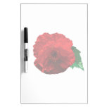 One Red Poppy