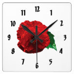 One Red Poppy