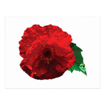 One Red Poppy Postcards