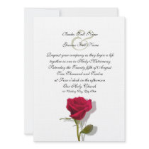 One Red Rose Announcement