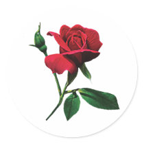 One Red Rosebud Stickers