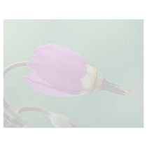 One shooting star flower against green  flowers custom letterhead