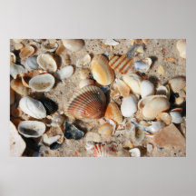 One square foot of shells print