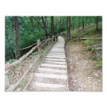 One step at a time 11 x 8.5 Photographic Print