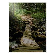 One Step at a Time Forest Wooden Bridge Photo Post Cards