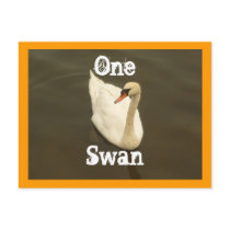 One Swan Postcards