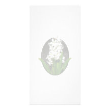 One White Hyacinth Photo Greeting Card