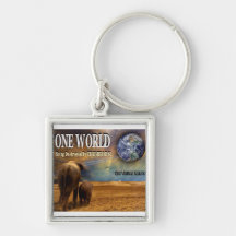 One World Being Destroyed by Chemtrails Keychain
