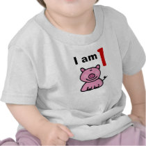 One year old birthday baby (pink pig) shirts