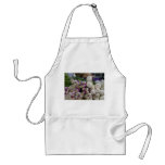 Onion Apron