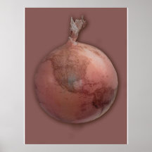 Onion Globe print