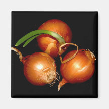 Onion Magnet