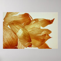 Onion Skin Print