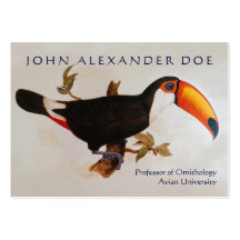 Onithologist - Ornithology Professor - Two Sided Business Cards