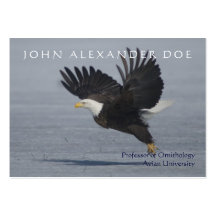 Onithologist - Ornithology Professor - Two Sided Business Cards