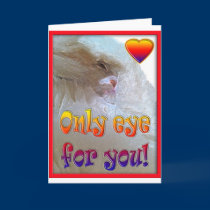 Only eye (s) for you.  Cat cards