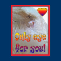 Only eye (s) for you.  Cat postcards