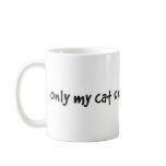 only my cat understands me mugs