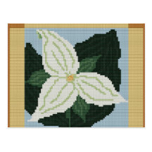 ONTARIO'S TRILLIUM POSTCARD