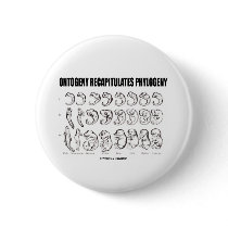 Ontogeny Recapitulates Phylogeny (Biology)