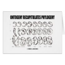 Ontogeny Recapitulates Phylogeny (Biology)