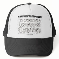 Ontogeny Recapitulates Phylogeny (Biology)