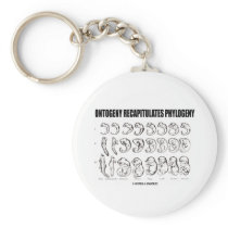 Ontogeny Recapitulates Phylogeny (Biology)