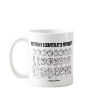 Ontogeny Recapitulates Phylogeny (Biology) Mug