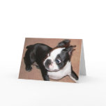 Oooppppps! BT Greeting Card