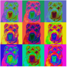 Op Art - Chinese Shar Pei Photo Cut Outs