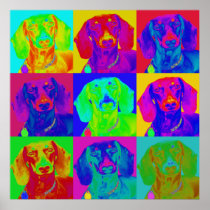 Op Art Doxie