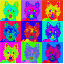 Op Art - West Highland Terrier Cut Out