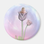 Opalescence Aimants