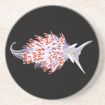 Opalescent Nudibranch Coaster