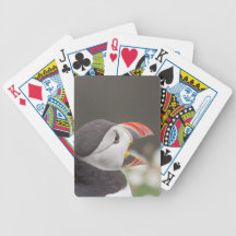 Open Billed Puffin Card Deck