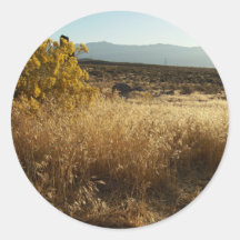 Open Field Sticker