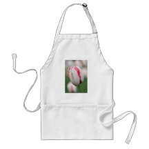 open fire aprons