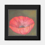 Open Poppy Magnet