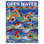 OPEN WATER Swim Flyer