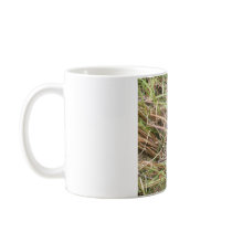Open Wide! Florida Alligator Mug