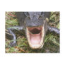 Open Wide! Florida Alligator