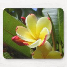 Opening Bud Mouse Mat